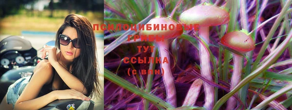 тгк Белокуриха