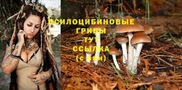 тгк Белокуриха